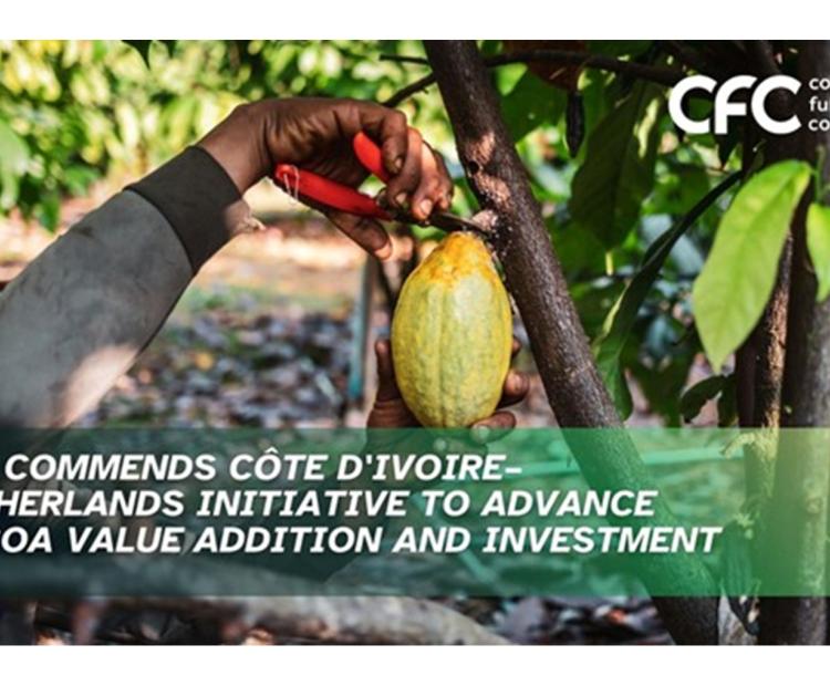 C_dIvoire-Cocoa